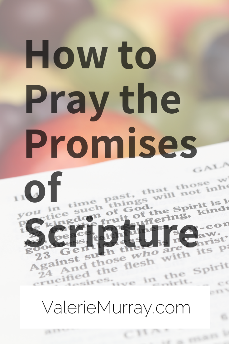 How to Pray the Promises of Scripture Valerie Murray