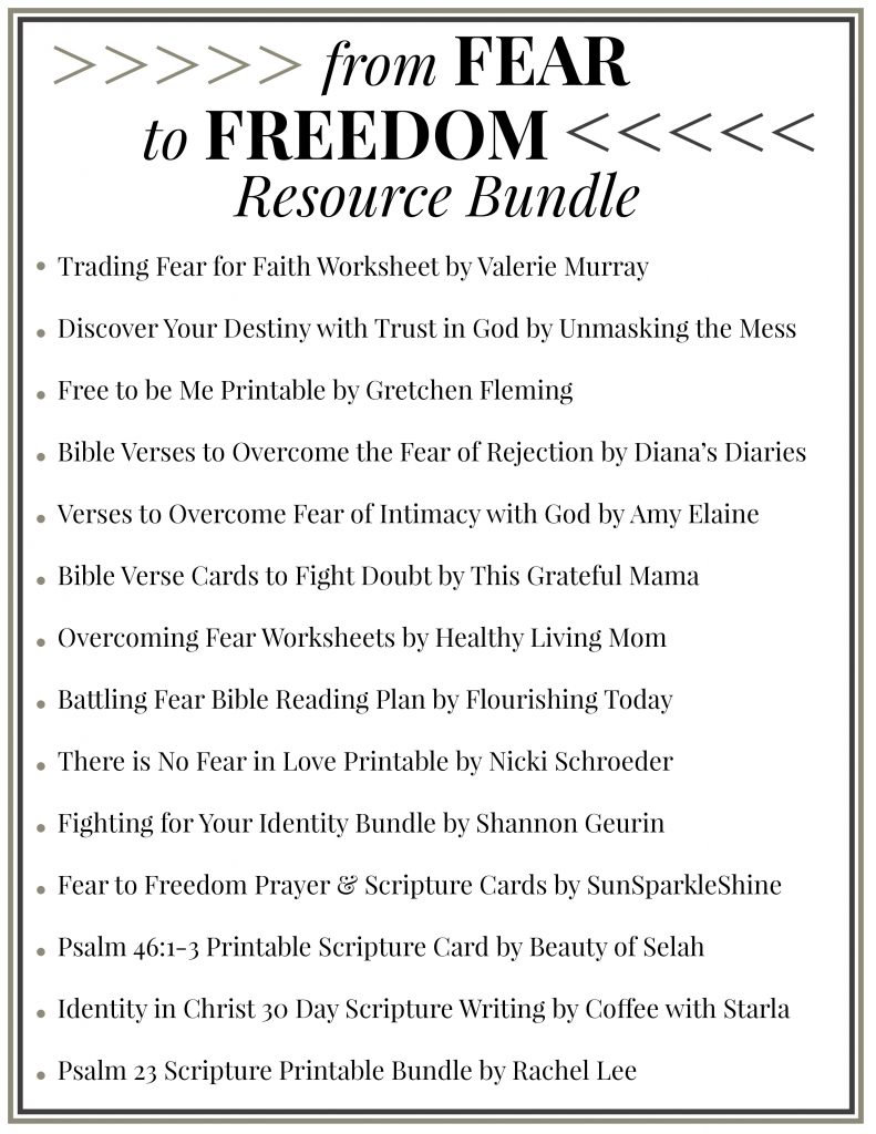 Free resources from 14 Christian bloggers to help you find freedom from fear!