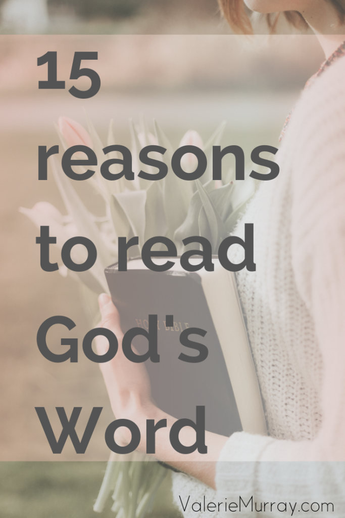 Did you know reading the Word of God can help you in your daily life? Here are 15 promises that will inspire you to read the Bible.