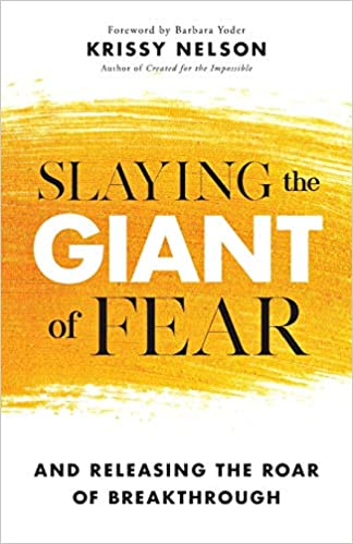 Slaying the Giant of Fear by Krissy Nelson helps readers fight fear by sharing three supernatural weapons David used to defeat Goliath.