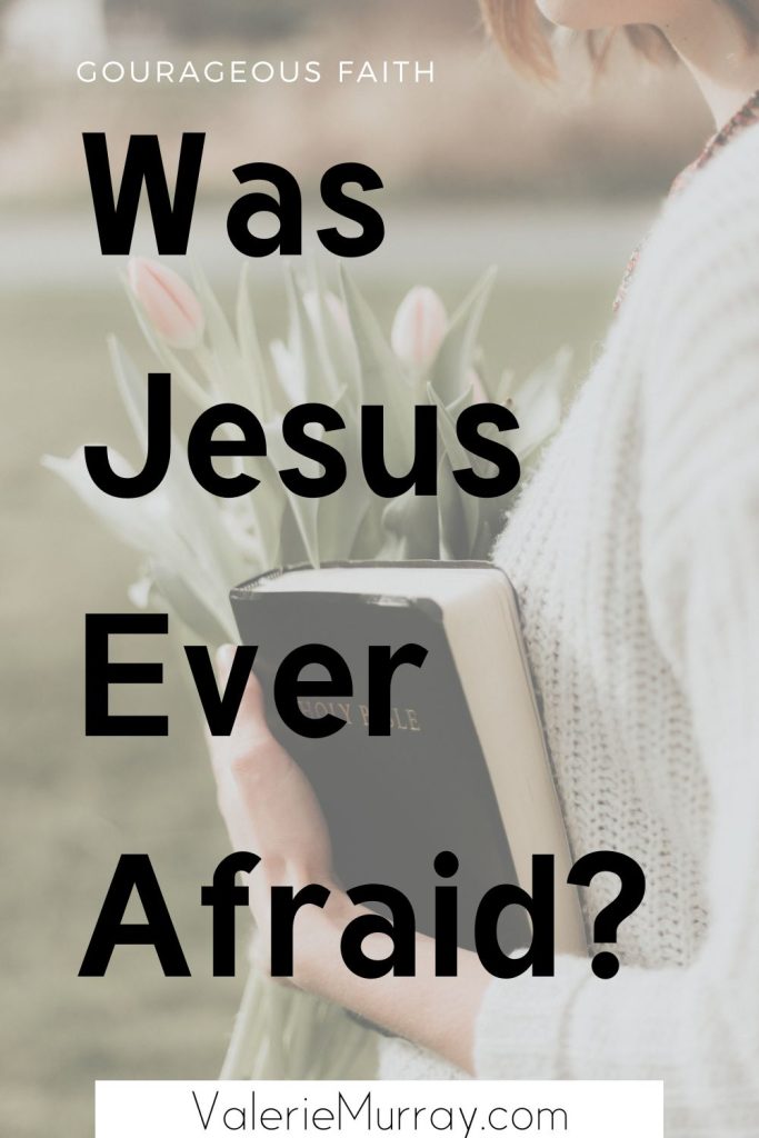 Was Jesus ever afraid? Learn how the humanity of Jesus never makes Him weak or sinful but models for us how to trust in God when we're afraid.